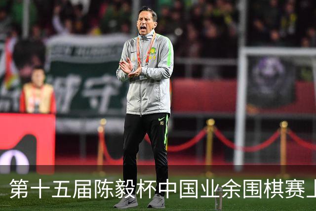 第十五届陈毅杯中国业余围棋赛上海开幕
